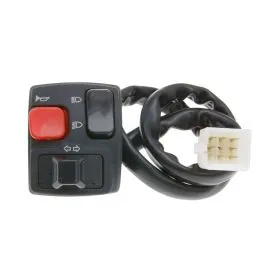 101 OCTANE 34412 SWITCH ASSEMBLY