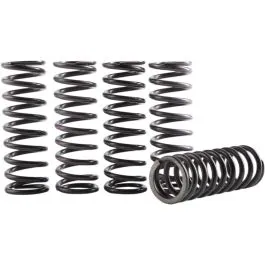 HINSON RACING CS189-5-0613 SPRING KIT CLUTCH HONDA
