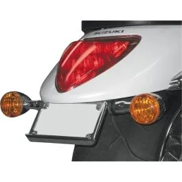 BARON BA-3181-00 LICENSE FRAME KIT REAR LED STEALTH