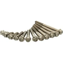 SCAR STIM6X4502 TITANIUM BOLT M6X45 PACK