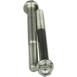 SCAR STIM6X6502 TITANIUM BOLT M6X65 PACK OF 2