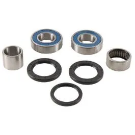 ALL BALLS 25-1789 WHEEL BEARING KIT REAR