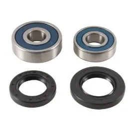 ALL BALLS 25-1791 WHEEL BEARING KIT REAR