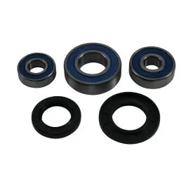 ALL BALLS 25-1795 WHEEL BEARING KIT REAR