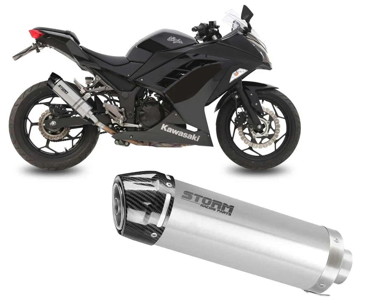Terminale Di Scarico Storm Gp Inox Coppa In Carbonio Per Kawasaki Ninja 300 2013 > 2016-74.K.038.LXSC-388561