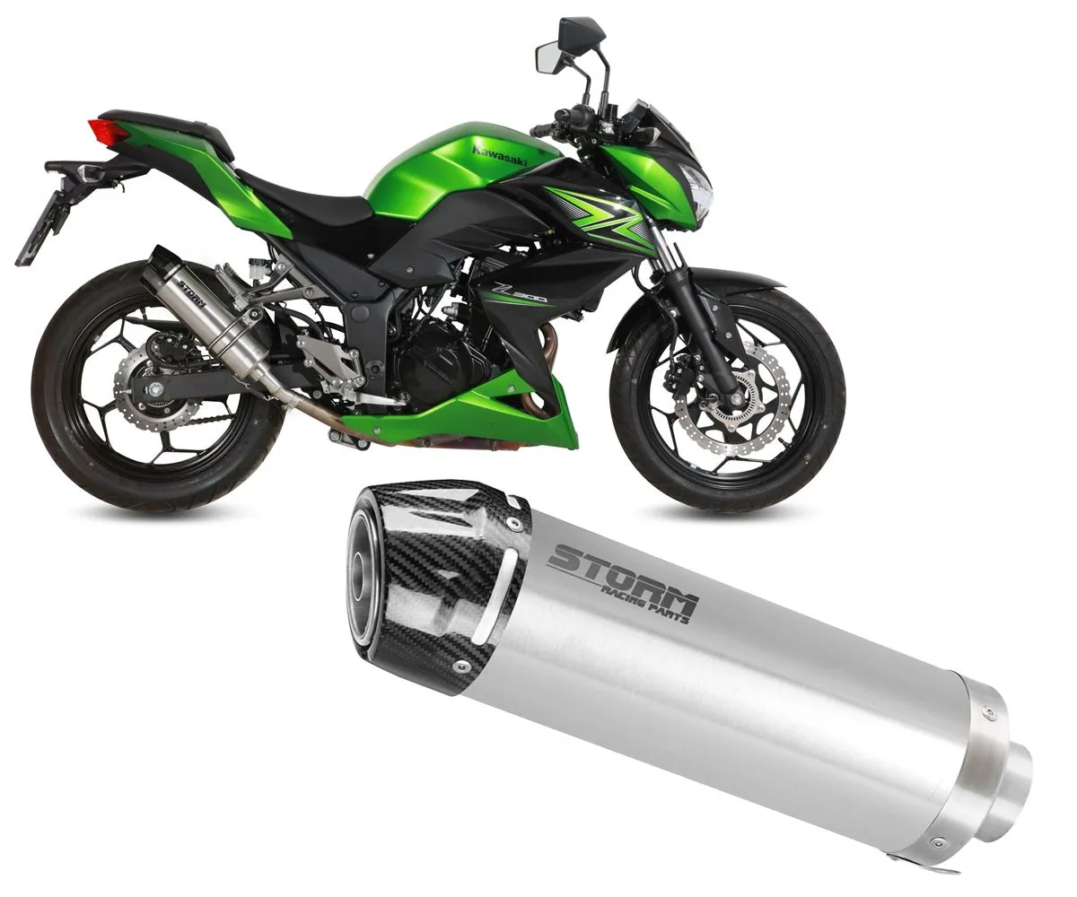 Terminale Di Scarico Storm Gp Inox Coppa In Carbonio Per Kawasaki Z300 2015 > 2016-74.K.038.LXSC-388563
