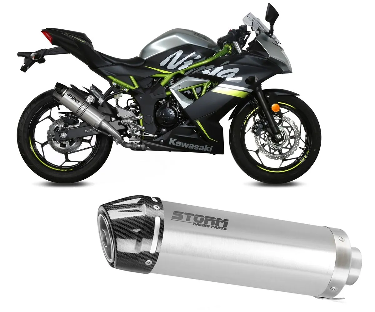 Terminale Di Scarico Storm Gp Inox Coppa In Carbonio Per Kawasaki Ninja 125 2019 > 2024-74.K.048.LXSC-388555